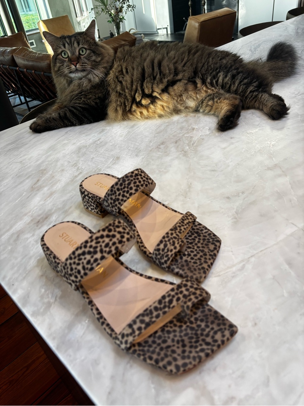 Stuart Weitzman Maisie Leopard Print Two-Strap Slide Sandals